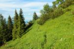 2014-07-05_Laengental-N-Hochweg (788). JPG